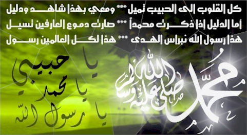 المتواجدون الآن ؟