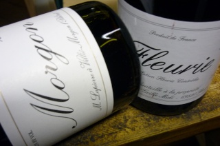 Les vins naturels, de la vigne au vin dans Boire & manger p1010110