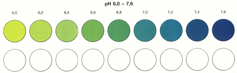 Ph 6