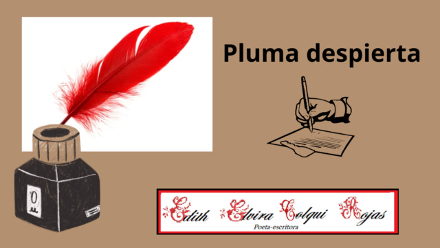 pluma_10.png